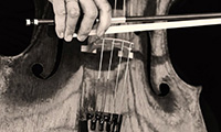 Person playing a cello